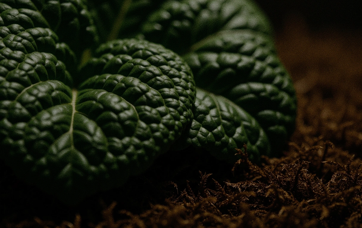 Deep green botanical textures representing natural endurance
